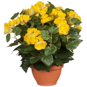Gele Begonia kunstplant 37 cm in terracotta pot