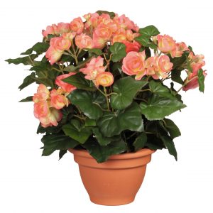 Zalmroze Begonia kunstplant 37 cm in terracotta pot