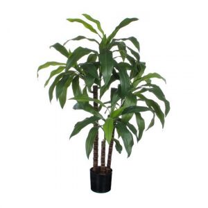 Nep kamerplant Dracaena groen in zwarte pot 100 cm