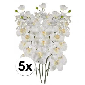 5x Witte vlinderorchidee kunstbloem 100 cm