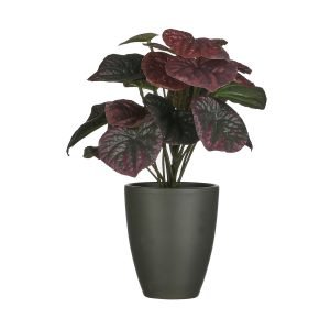 Peperomia kunstplant bordeaux rood in grijze pot H29 x D19 cm