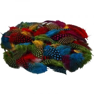 200x Gekleurde parelhoen vogel veren