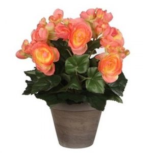 Zalmroze Begonia kunstplant 30 cm in grijze pot