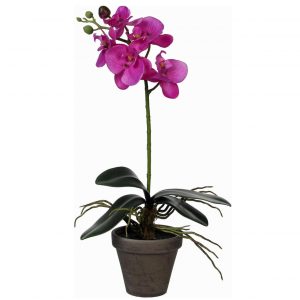 Phalaenopsis Orchidee kunstplant paars in grijze pot H48 x D13 cm