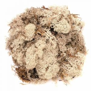 Mos natuurlijk materiaal naturel 200 gram
