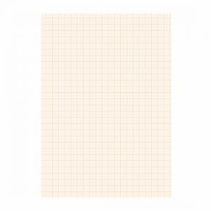 Papier blok 1 millimeter geruit