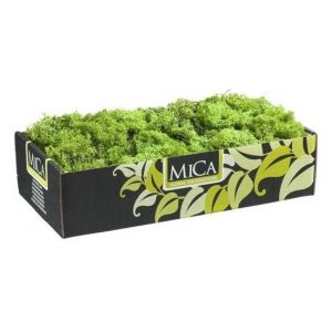 Hobby natuurlijk mos groen 500 gram