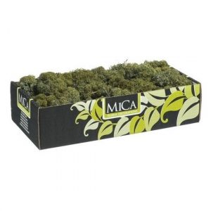 Hobby natuurlijk mos donkergroen 500 gram