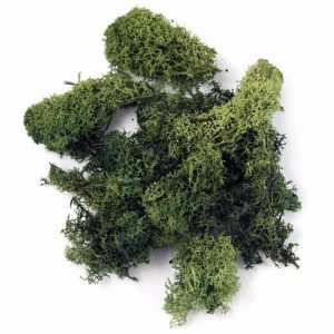 Zakje met donkergroene mos 200 gram