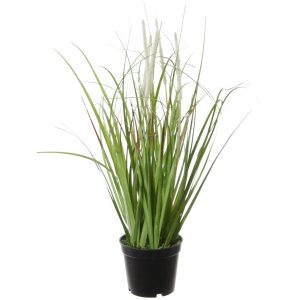 Groene grasplant Pennisetum kunstplant in zwarte kunststof pot 38 cm