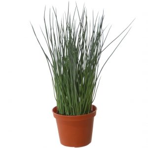 Groene grasplant Pennisetum kunstplant in bruine kunststof pot 29 cm