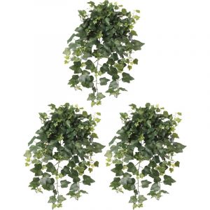 3x Tuinplant Hedera Helix klimop groen 65 cm UV-bestendig