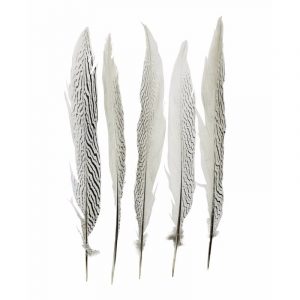 Veertjes zilver fazant 38 cm