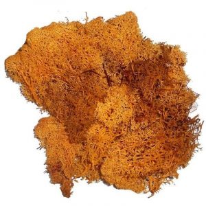 Decoratie mos oranje 50 gram