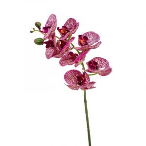Phaleanopsis vlinderorchidee kunstbloem fuchsia roze70 cm