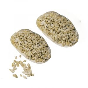 2x Schelp met posthoorn schelpjes