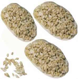 3x Schelp met posthoorn schelpjes