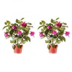 2x binnenplant fuchsia in pot roze 30 cm