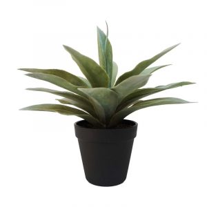 Kunstplanten Agave grijs/groen in zwarte pot 19 cm