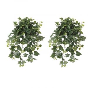 2x Tuinplant Hedera Helix klimop groen 65 cm UV-bestendig