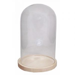 Presentatie glazen cloche/kap/stolp 30 cm