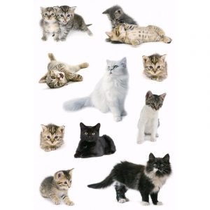 Dieren stickers poezen 9 stuks