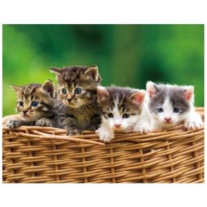 3D magneten poesjes/katjes in mand