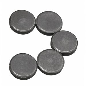 5x Knutsel magneten rond 20 x 5 mm