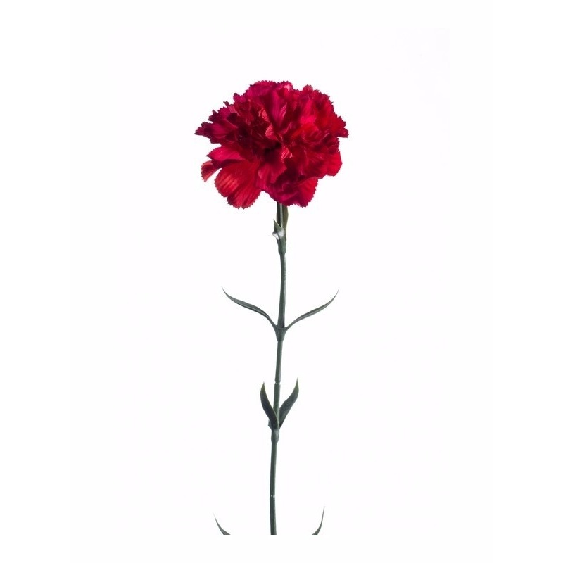 Dianthus Anjer kunstbloem 65 cm rood