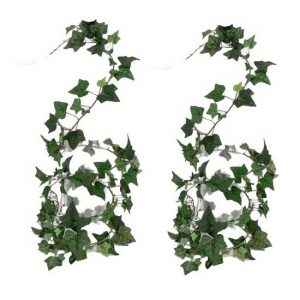 2x Tuinplant Hedera Helix klimop groen 180 cm