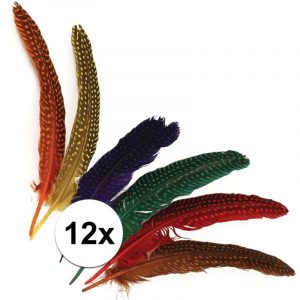 12x Gestipte veren in verschillende kleuren