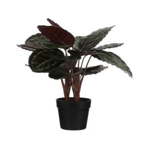 Calathea Roseopicta kunstplant groen in keramieken pot H60 x D40 cm