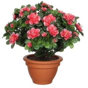 Groene Azalea kunstplant perzikkleurig bloemen 35 cm in pot