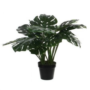 Groene Monstera/gatenplant kunst kamerplant 60 cm in zwarte pot